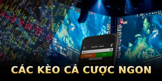 cac-keo-ca-cuoc-ngon