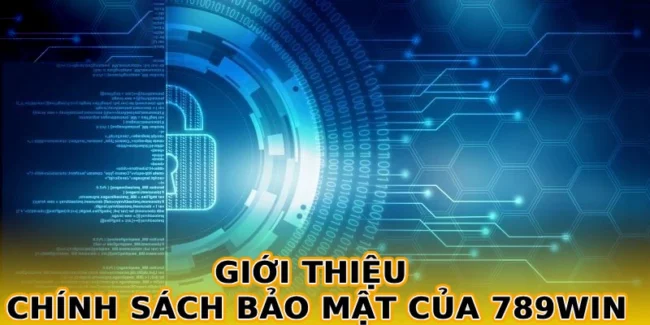 gioi-thieu-chinh-sach-bao-mat-cua-789win