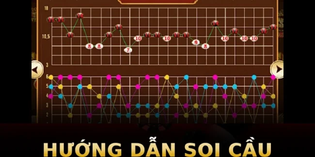 huong-dan-soi-cau