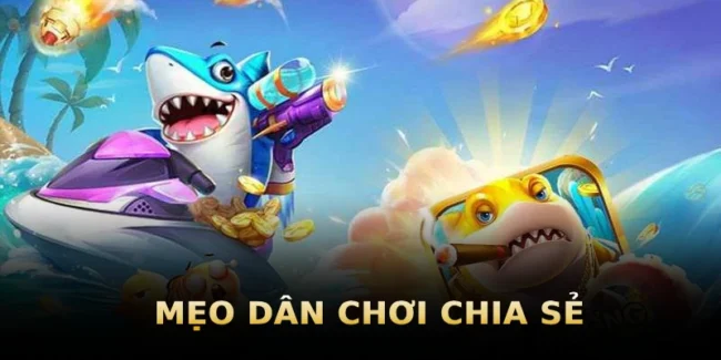 meo-dan-choi-chia-se