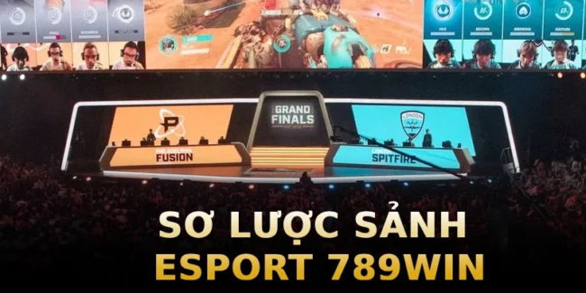 so-luoc-sanh-esport-789win